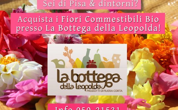 Fiori Commestibili Bio in vendita alla Stazione Leopolda di Pisa