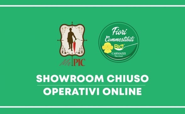 Showroom chiuso / Operativi online