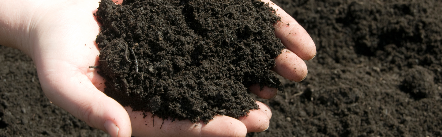 Potting soil and compost
